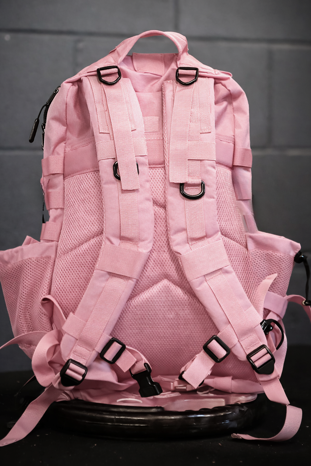UnFed Club 45L Blush Rogue backpack rear view with padded back panel