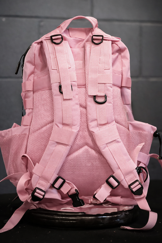 UnFed Club 45L Blush Rogue backpack rear view with padded back panel